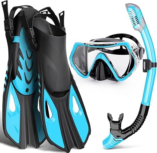 WONDSY Adult Snorkeling Set with Panoramic Mask