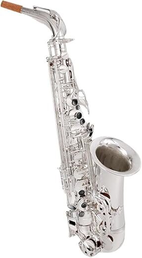 HJDFRTE Alto E-flat Sterling Silver Saxophone Instrument