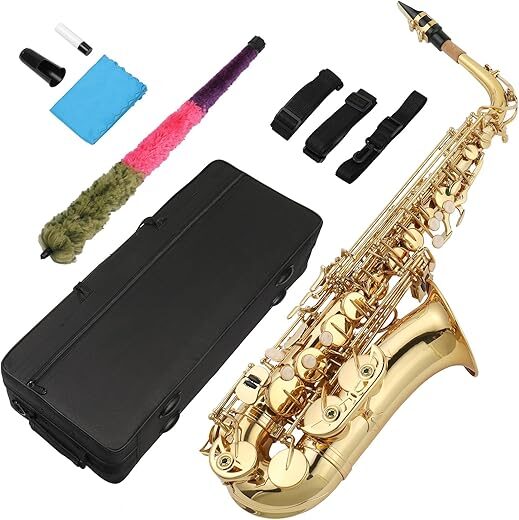 Ktaxon Alto Saxophone Drop E Flat Brass Full Kit