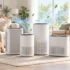 Instant Pot Duo Evo Plus Review: Still Worth It in 2026?