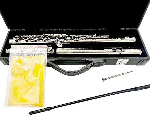 Carolina Winds Carolina Winds Intermediate Flute CW401FLT Silver