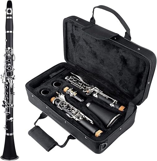 Carolina Winds Carolina Winds Reliable Bb Clarinet Cw101cla