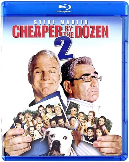 Cheaper By The Dozen 2