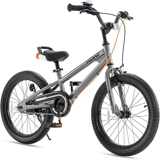Royalbaby Freestyle Kids Bike with 2 Brakes