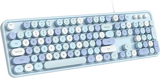 Dilter Full-Sized Wired Keyboard with Number Pad