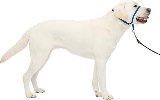 PetSafe Gentle Leader No-Pull Dog Headcollar