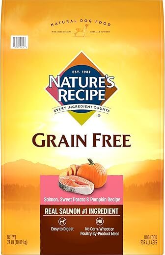 Nature’s Recipe Grain Free Salmon, Sweet Potato & Pumpkin Dry Dog Food, 24 lb. Bag