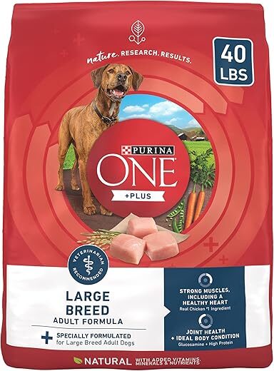 Purina ONE Large Breed Adult Dog Food – 40 lb