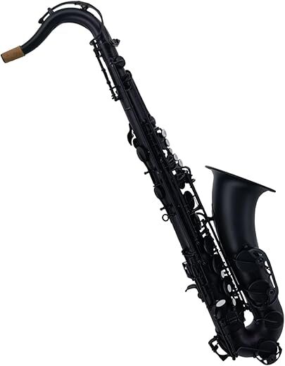 DZDZDZ Matte Black Nickel Plated Tenor Saxophone