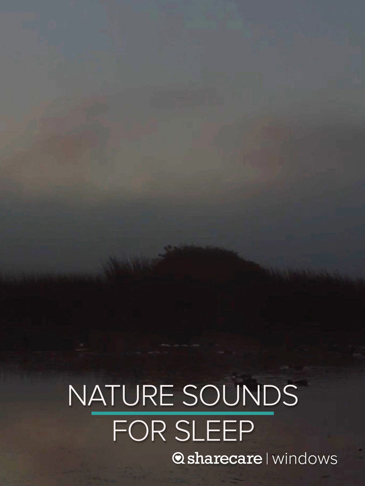 Nighttime Nature Sounds for Sleep 9 Hours