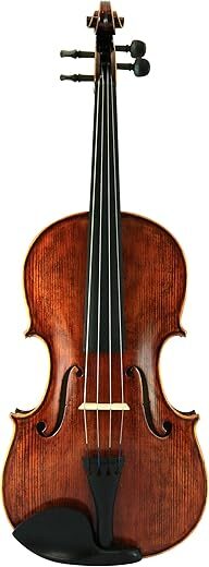 D’Luca PD02-15.5 Orchestral Series Handmade Viola