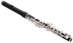 Jupiter Piccolo JPC1100E