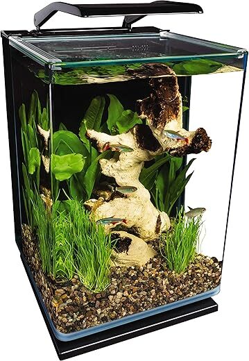 MarineLand Portrait Glass LED Aquarium Kit, 5 Gallons