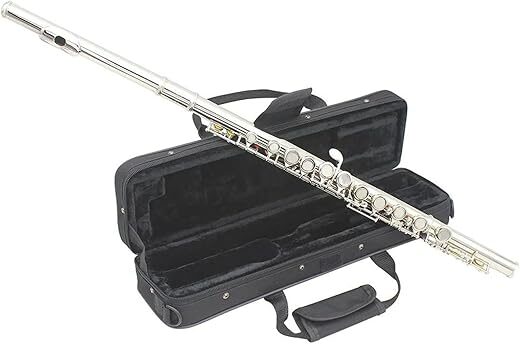 JUUTQA Professional 16 Holes C Key Flute