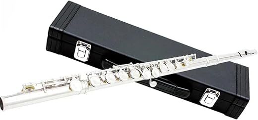 JUUTQA Professional 16 Holes C Key Flute