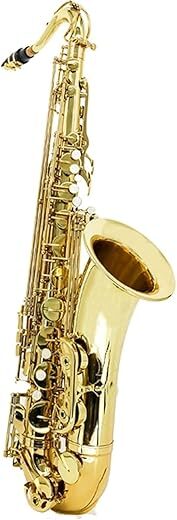 Generic Professional B Flat Tenor Saxophone Kit