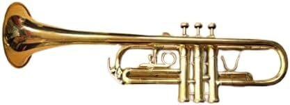 Queen Brass Professional C Trumpet With Gold Finish