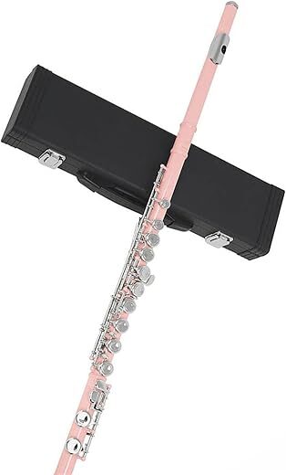 JUUTQA Professional Pink 16 Holes C Key Flute