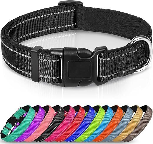 Joytale Reflective Dog Collar, Soft Neoprene, Black, M