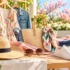 Best Camping Tents for Spring Break 2026