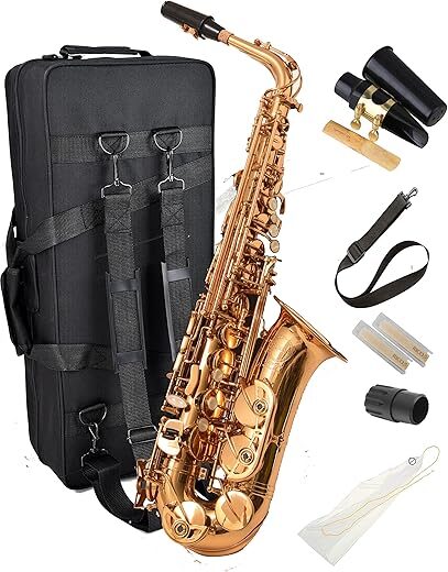 HERCHE Superior Alto Saxophone X3 | Professional