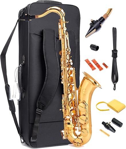 HERCHE Superior Bb Tenor Saxophone X3 Professional