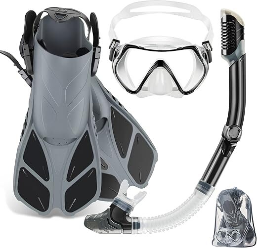 ZEEPORTE Travel Snorkel Set with Anti-Fog Mask