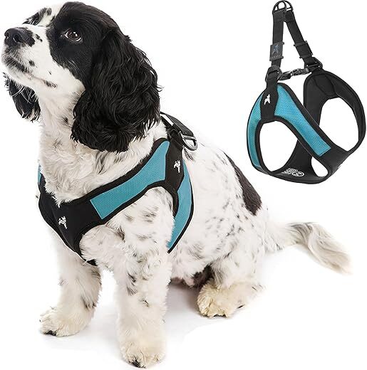 Gooby Turquoise X-Small Easy Fit Harness – No Pull