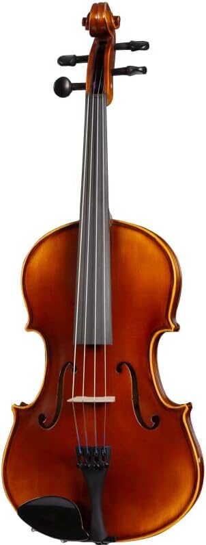 D Z Strad Viola Model 120 with Accessories (14″)