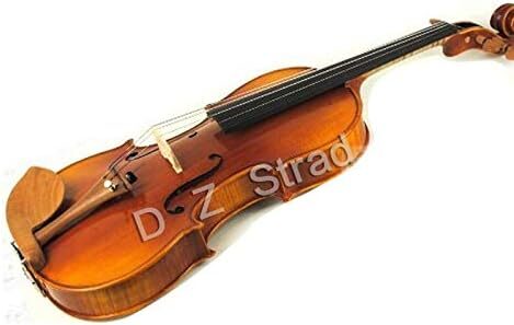 D Z Strad Viola Model N2011 With Bow, Case