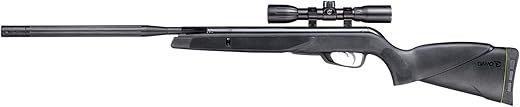 Gamo Whisper Air Rifle