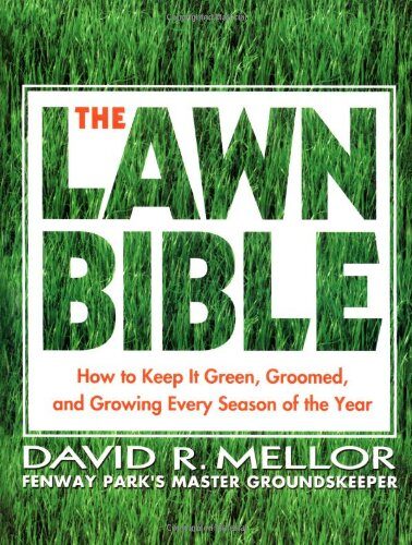 Year-Round Lawn Care Guide