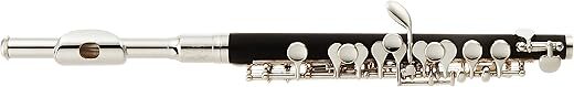 ゼンオン Zenon Piccolo ZPC800